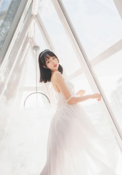 喵请许愿