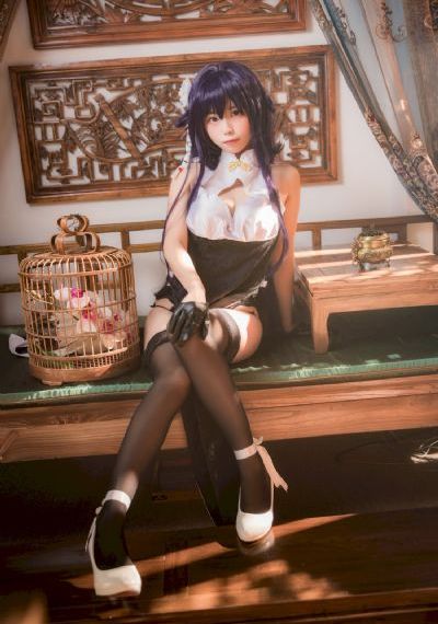 格斗实况动漫免费观看