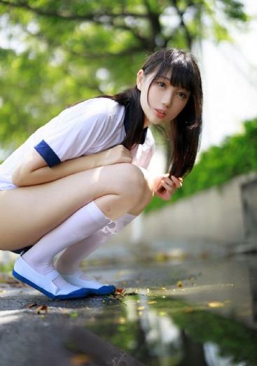 春城花满天