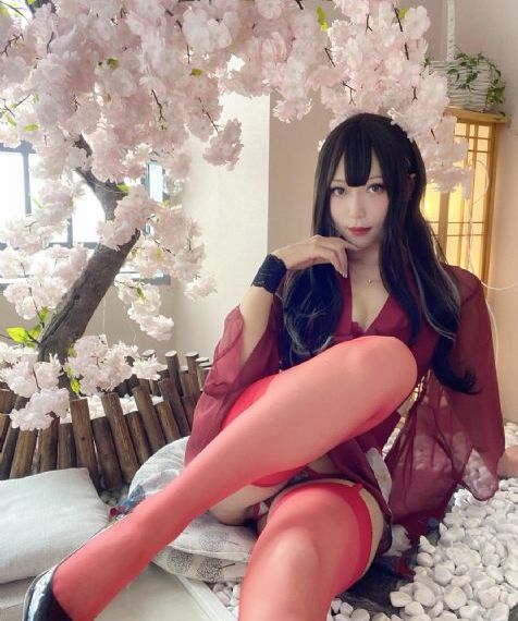 追风者电视剧免费观看完整版高清