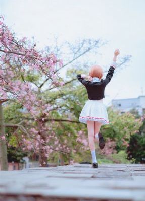 灰姑娘与四名骑士